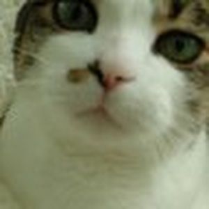 Meet your Posher, Maggie